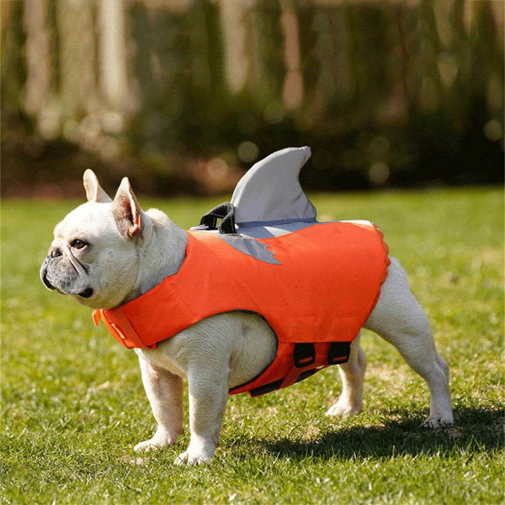 Frenchie Shark Life Vest Summer Reflective Swimwear