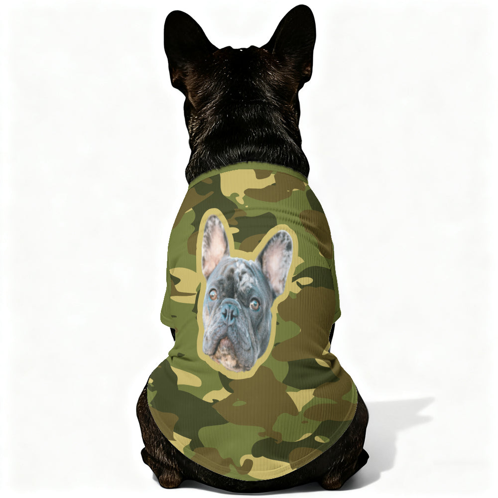 Wool Sweater For Frenchies For Frenchie Fans | Premium Quality