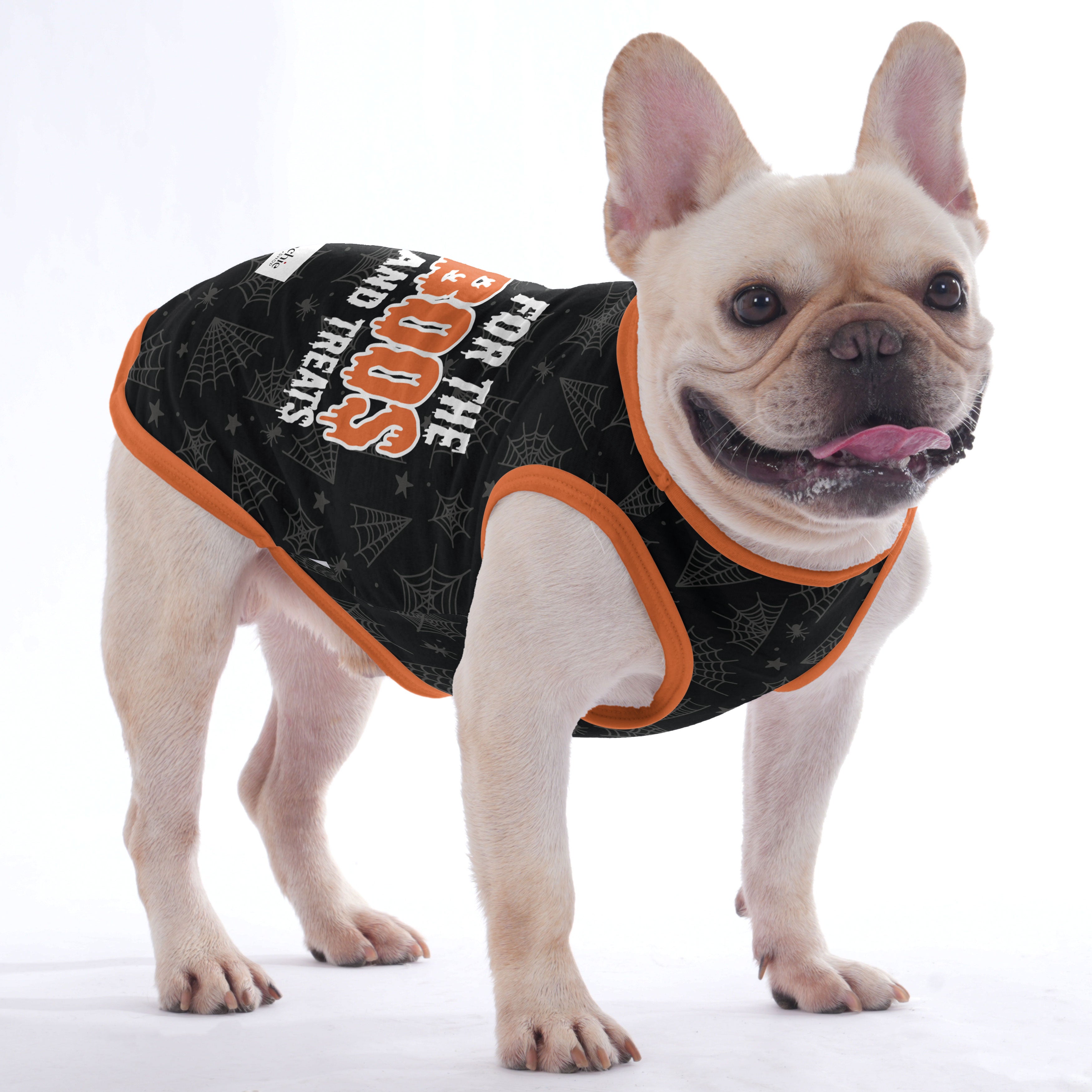 The BOOS - Shirt for Frenchies - Frenchie Shop Original