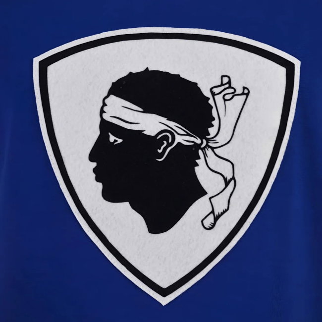 Replica 2025-2026 Football Team Shirt With Classic Design - Champions