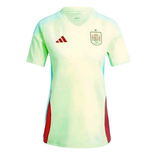 Professional Style Spain Away Professional Jersey 2024-2025
