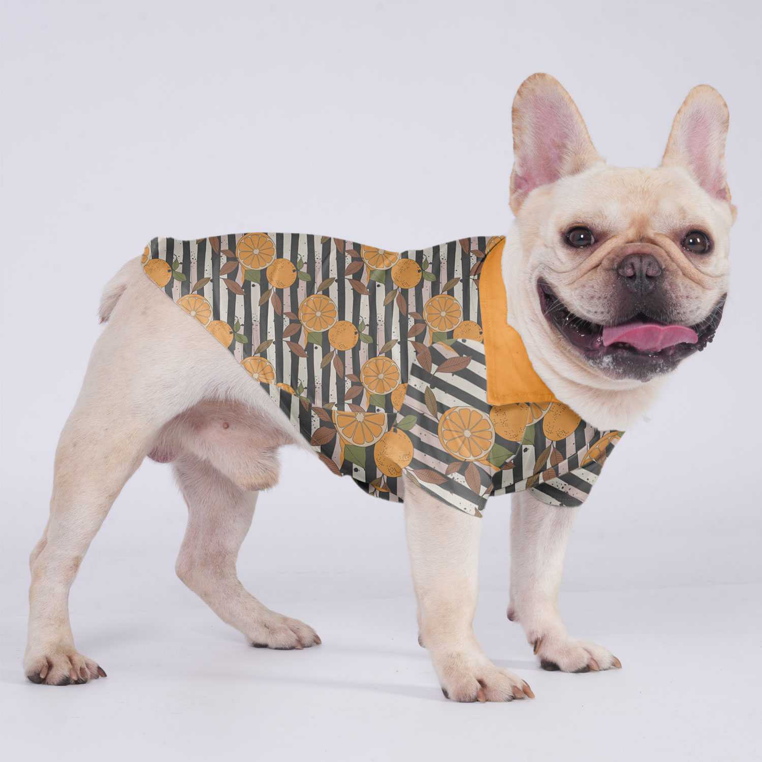 Bruno - Comfy Hawaiian Shirt For Frenchies Everyday Use | Comfy Fit