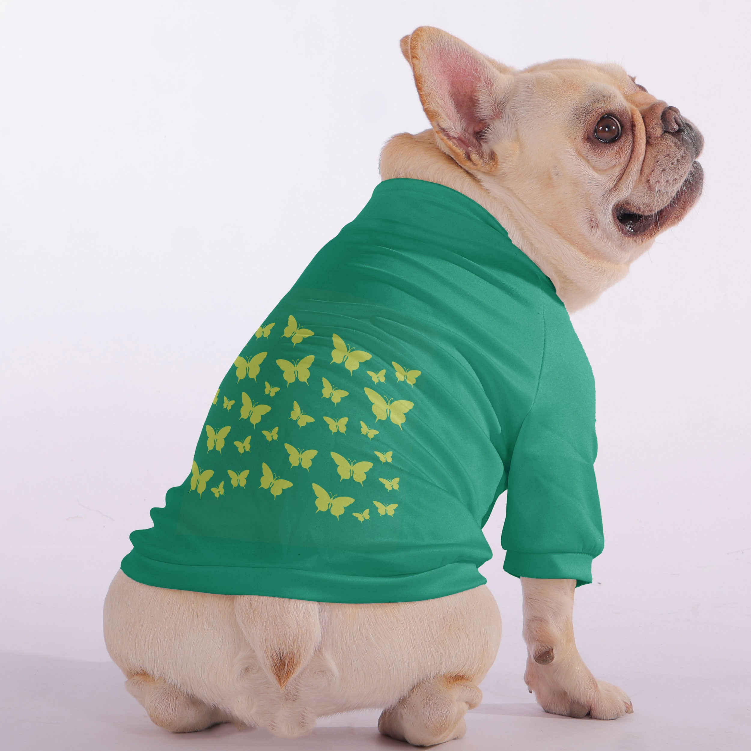 Premium Groucho - Snuggly Zip-up Sweatshirt For French Bulldogs for Dog