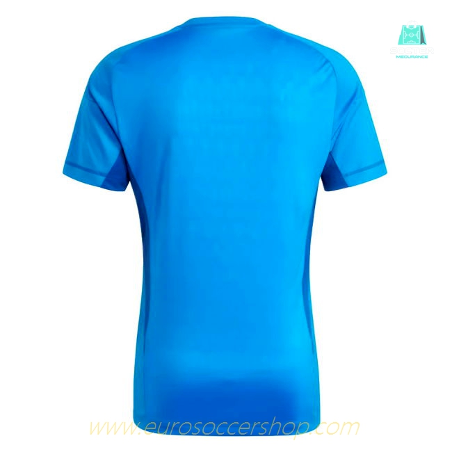 2023-2024 Juventus Home Goalkeeper Shirt (Blue)