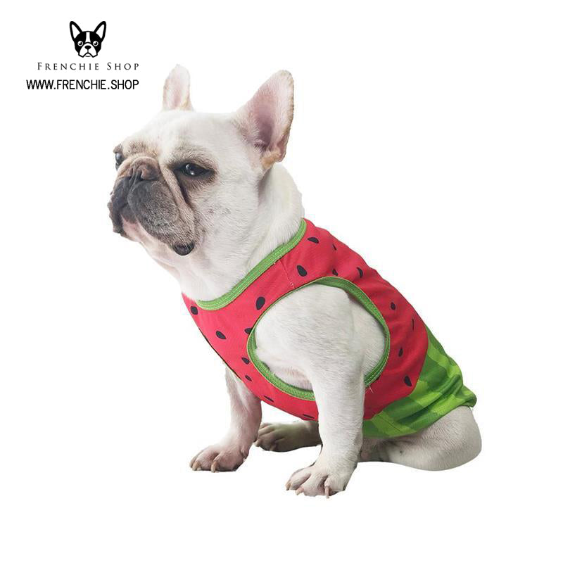 French Bulldog Coolify™ V2: Summer Cooling Shirt (cs18) Durable Dog Item