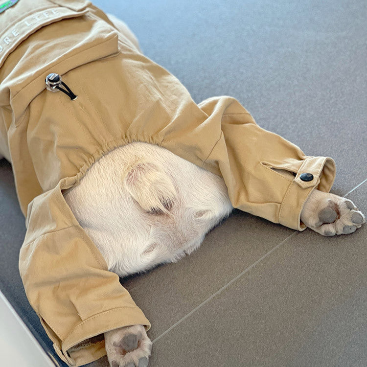 BarkBuilt French Bulldog Overalls – Khaki Utility Dog Jumpsuit with Pocket