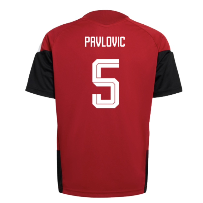 Kids Germany Soccer Team Rare Piece Training Rare Jersey (Pavlovic 5)