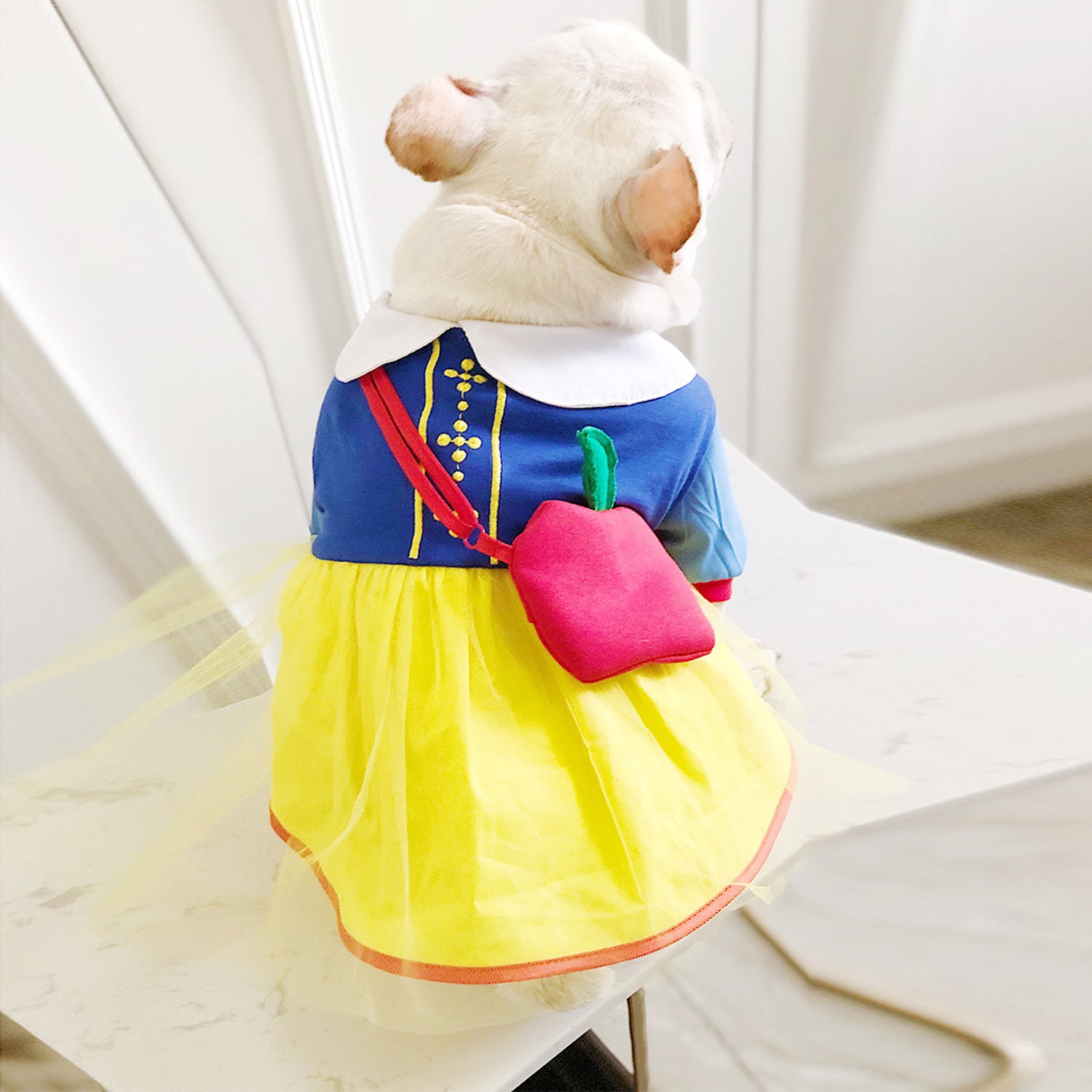 French Bulldog Barktoria Frenchie Snow White Costume – Cute Princess