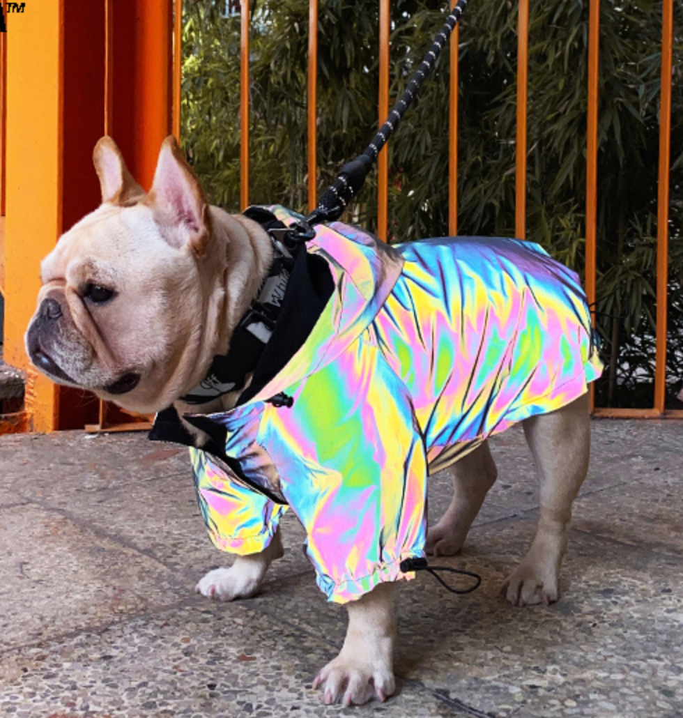 Reflective French Bulldog Jacket (WS39)