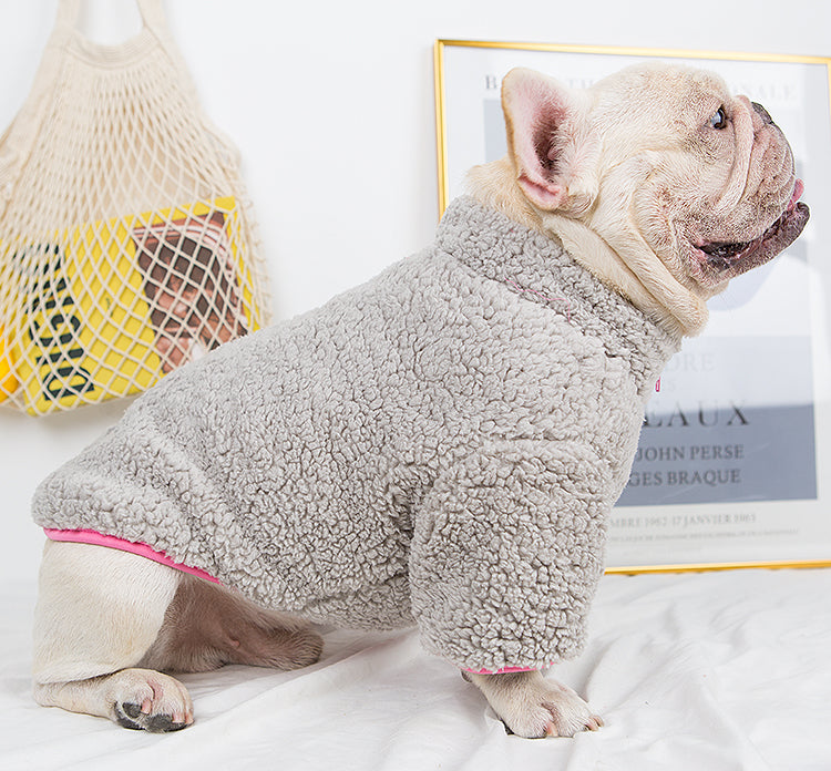 Winter Cloth For French Bulldog (wj12) Outdoor Use | Vet-recommended