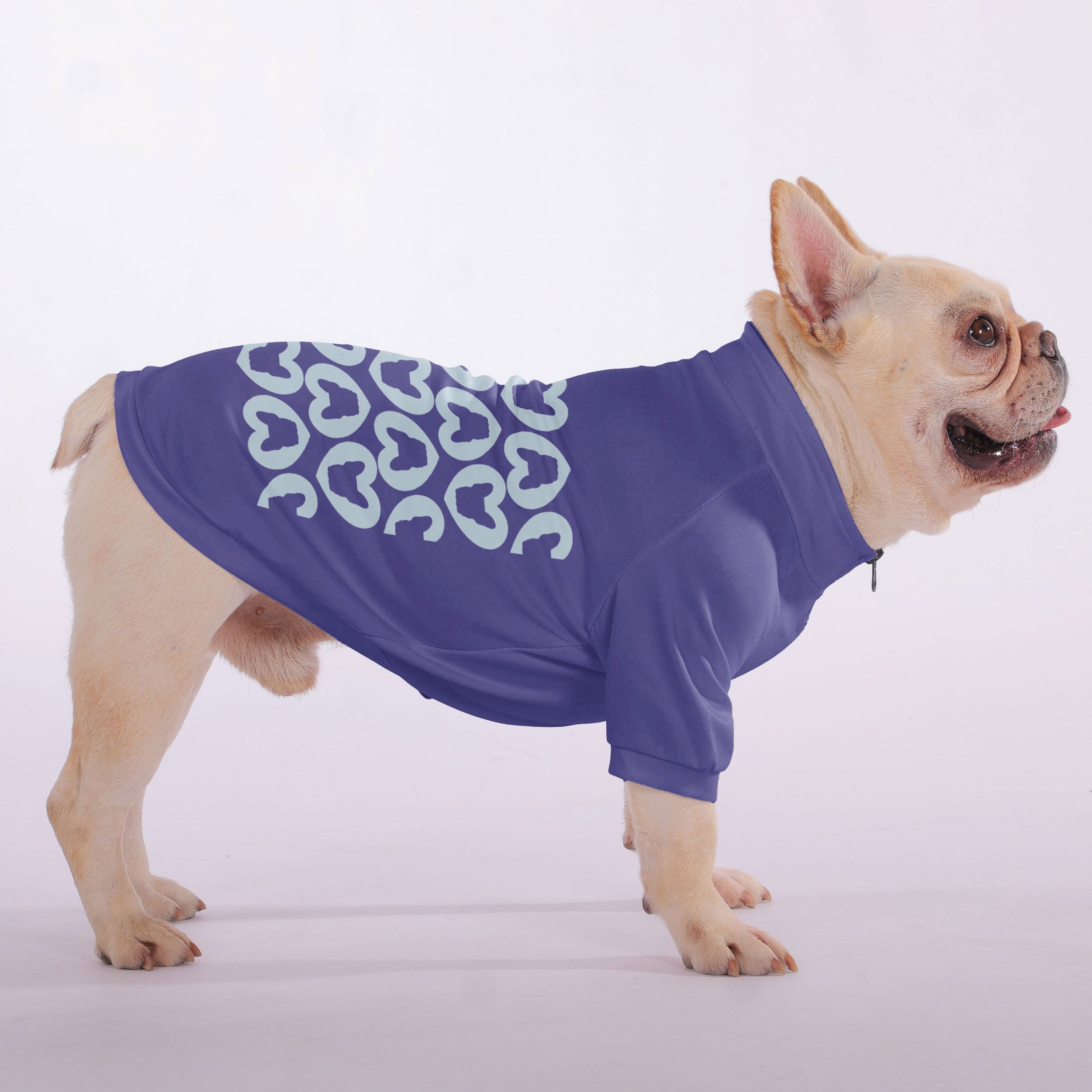 Bun - Snuggly Zip-Up Sweatshirt for French Bulldogs