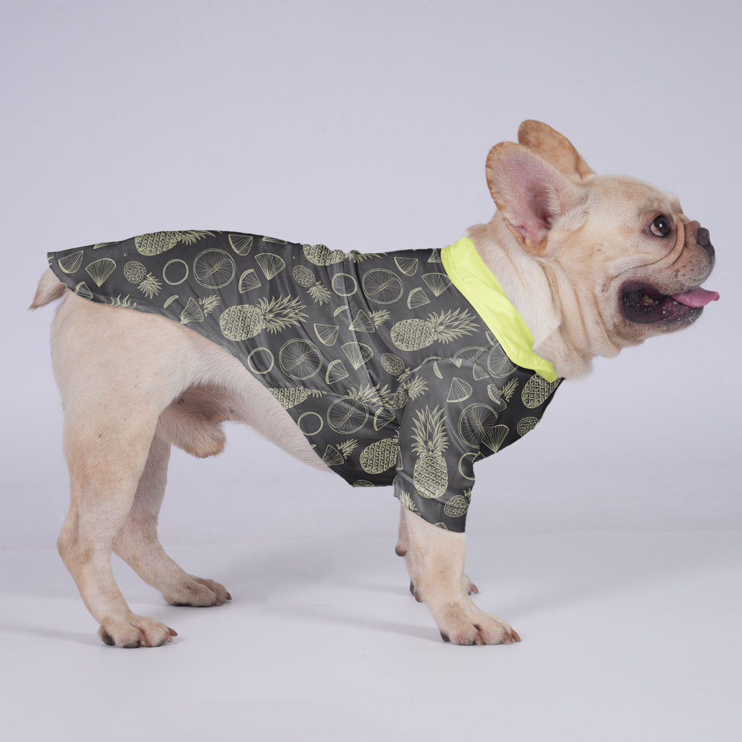 Everyday Comfortable Moose - Hawaiian Shirt For Frenchies for Home Use