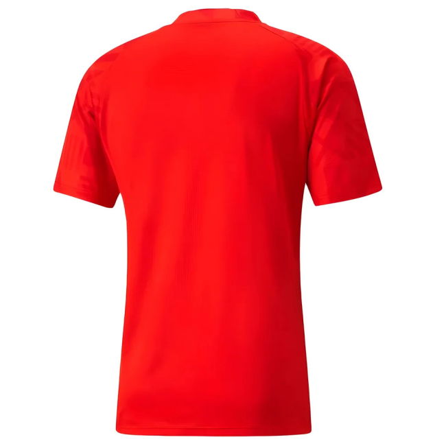 Match Worn Style Ghana High Standard Home Pro Shirt