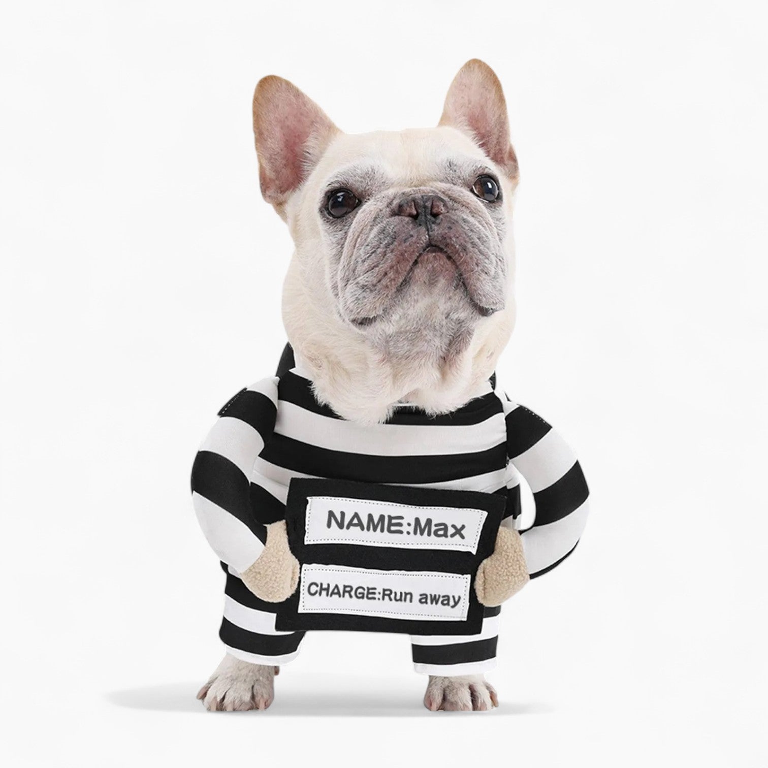 Frenchie Prisoner Costume – Striped Halloween Outfit with Custom ID Tag