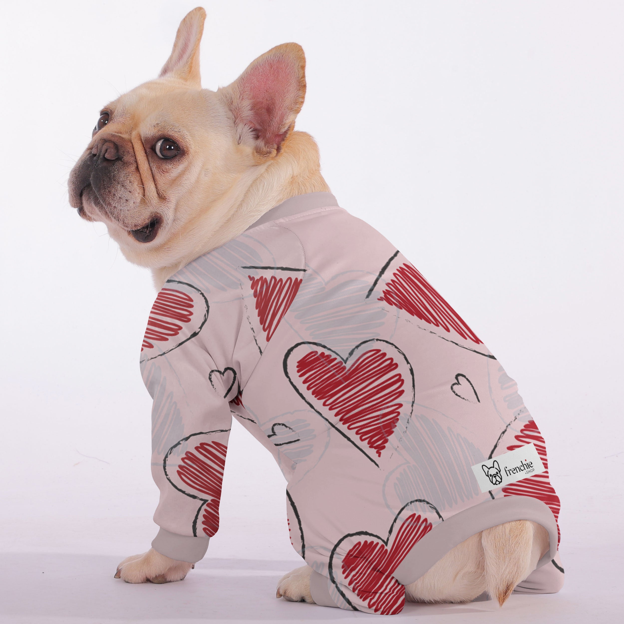 Remi - Frenchie Frenchie Pajama Paw Protection | Durable Build