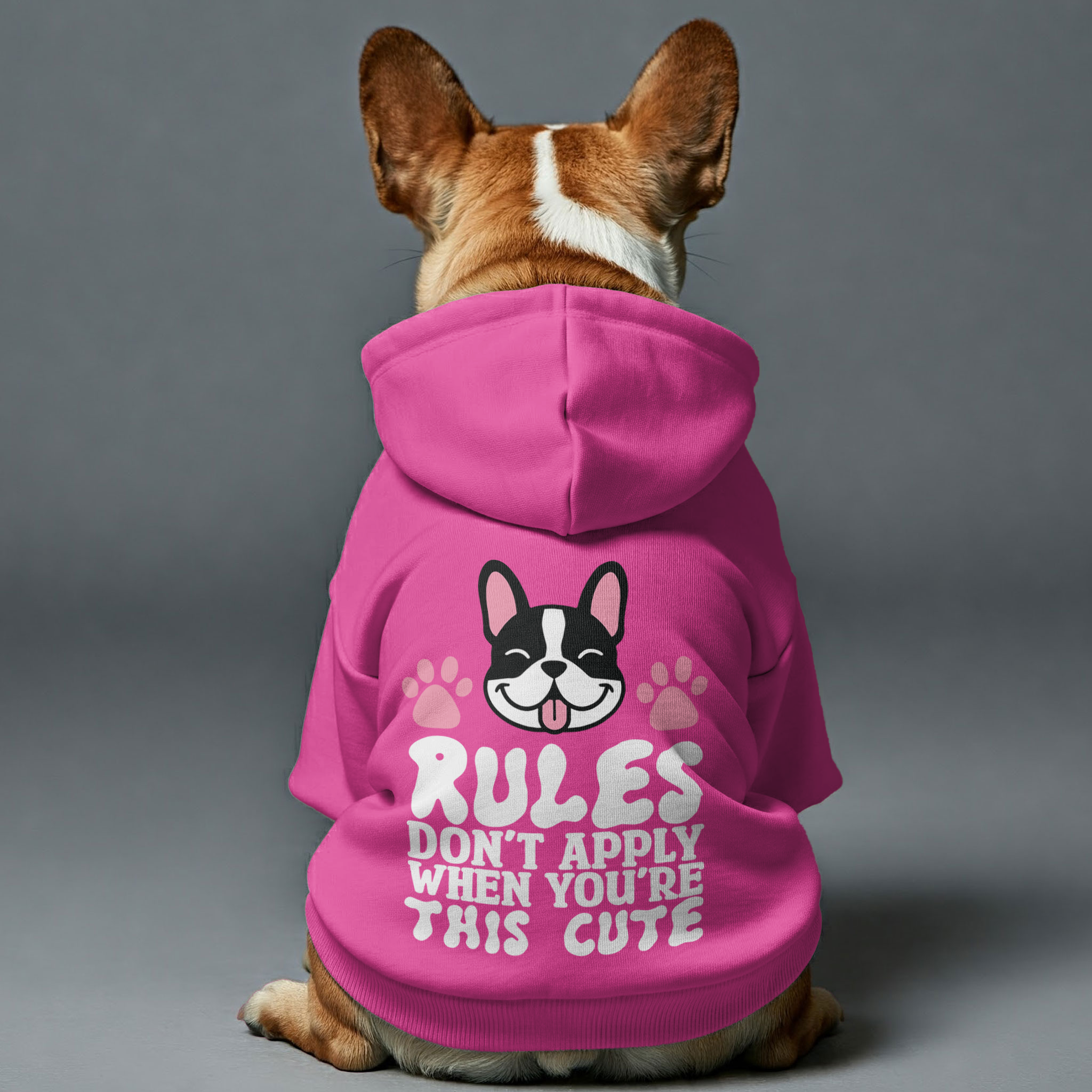 Rules don’t apply when you’re this cute - Personalized French Bulldog Hoodies with Funny Quotes – Stylish, Cozy, and Premium 100% Cotton