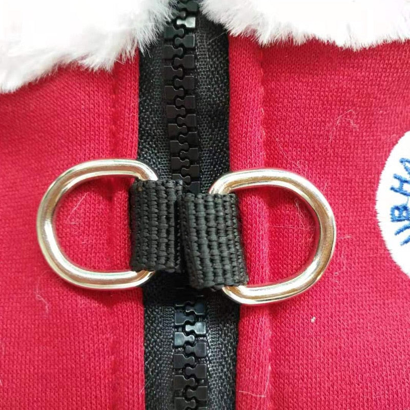 Reflective - Bulldog Harness For Winter (ws304) Winter Wear