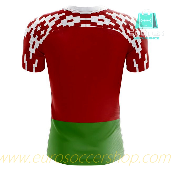 2025-26 Collection Belarus FIFA Approved Home Jersey Youth