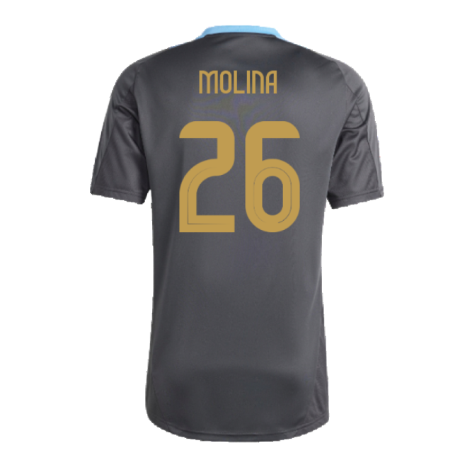 Licensed 2024-2025 Argentina Copa America Training Shirt (MOLINA 26)