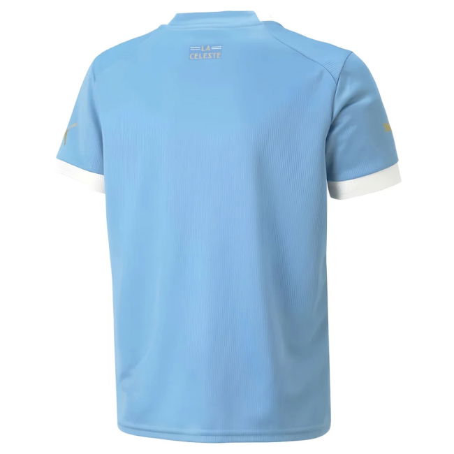 Pro Style Uruguay Home Player Jersey 2022-2023 (Nunez 11)