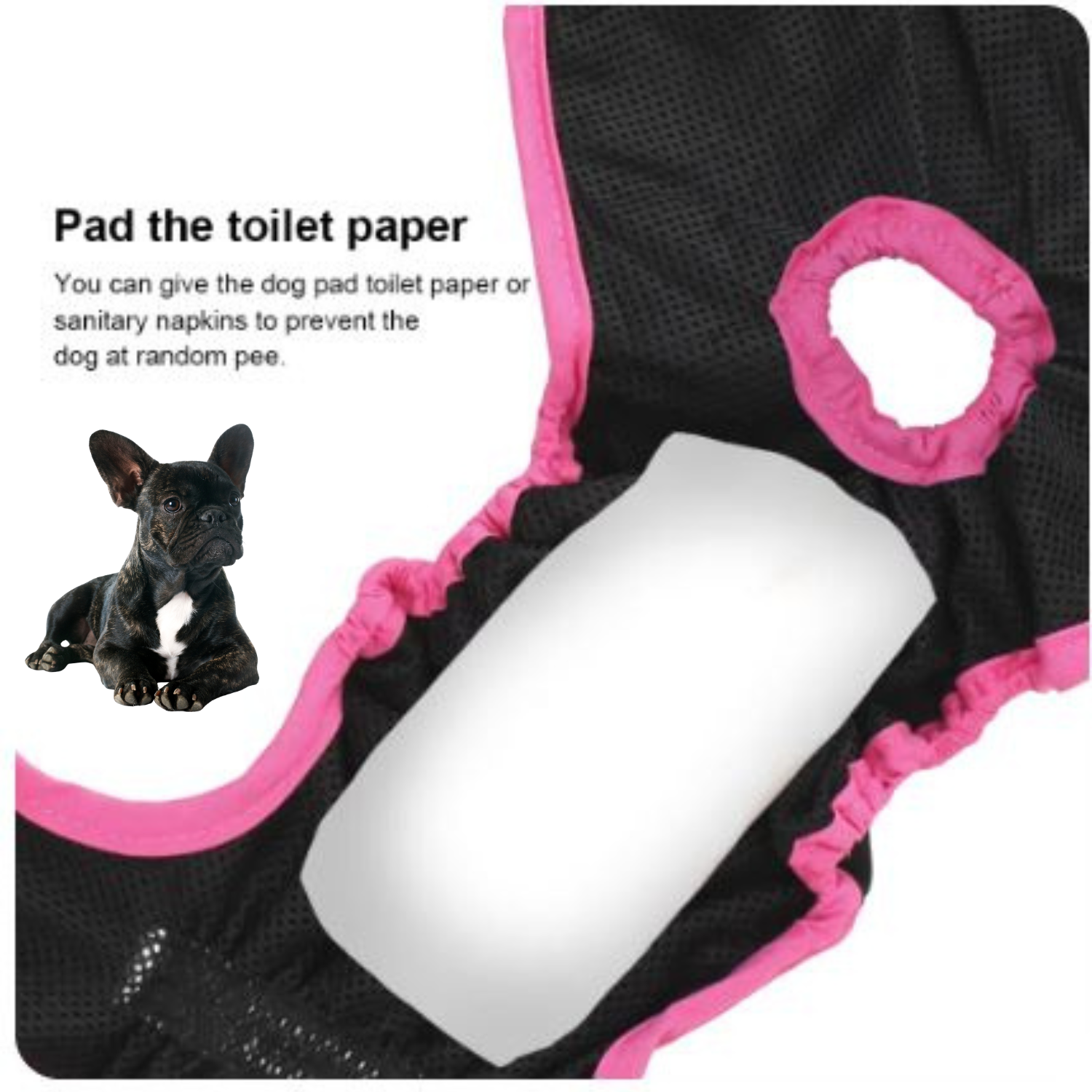 - French Bulldog French Bulldog Shorts Diaper Winter Wear | Comfort Fit