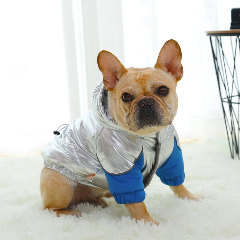 Warm - Premium Winter Coat For French Bulldog (ws305) Summer Wear