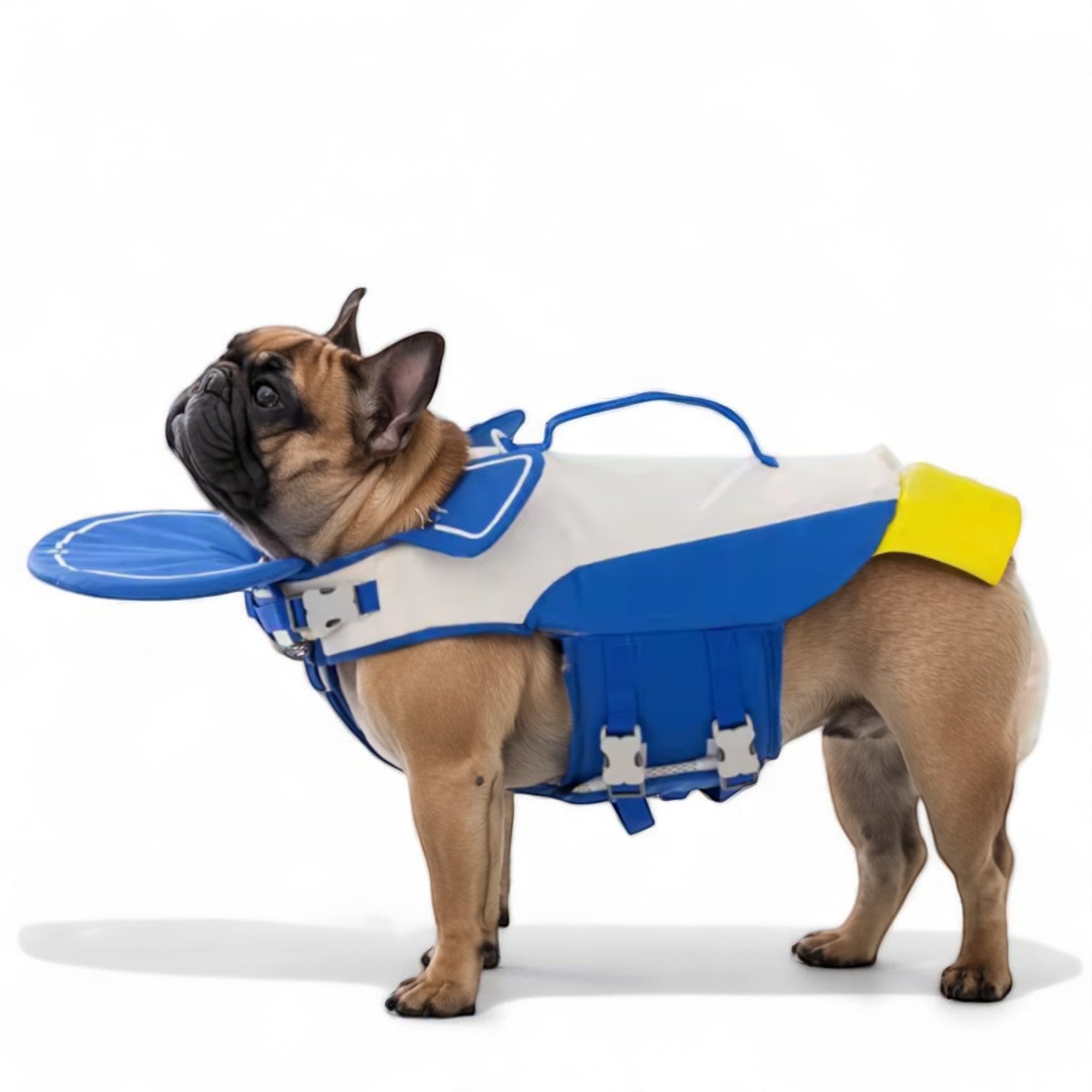 Frenchie Penguin Life Jacket – High Buoyancy Summer Swim Vest