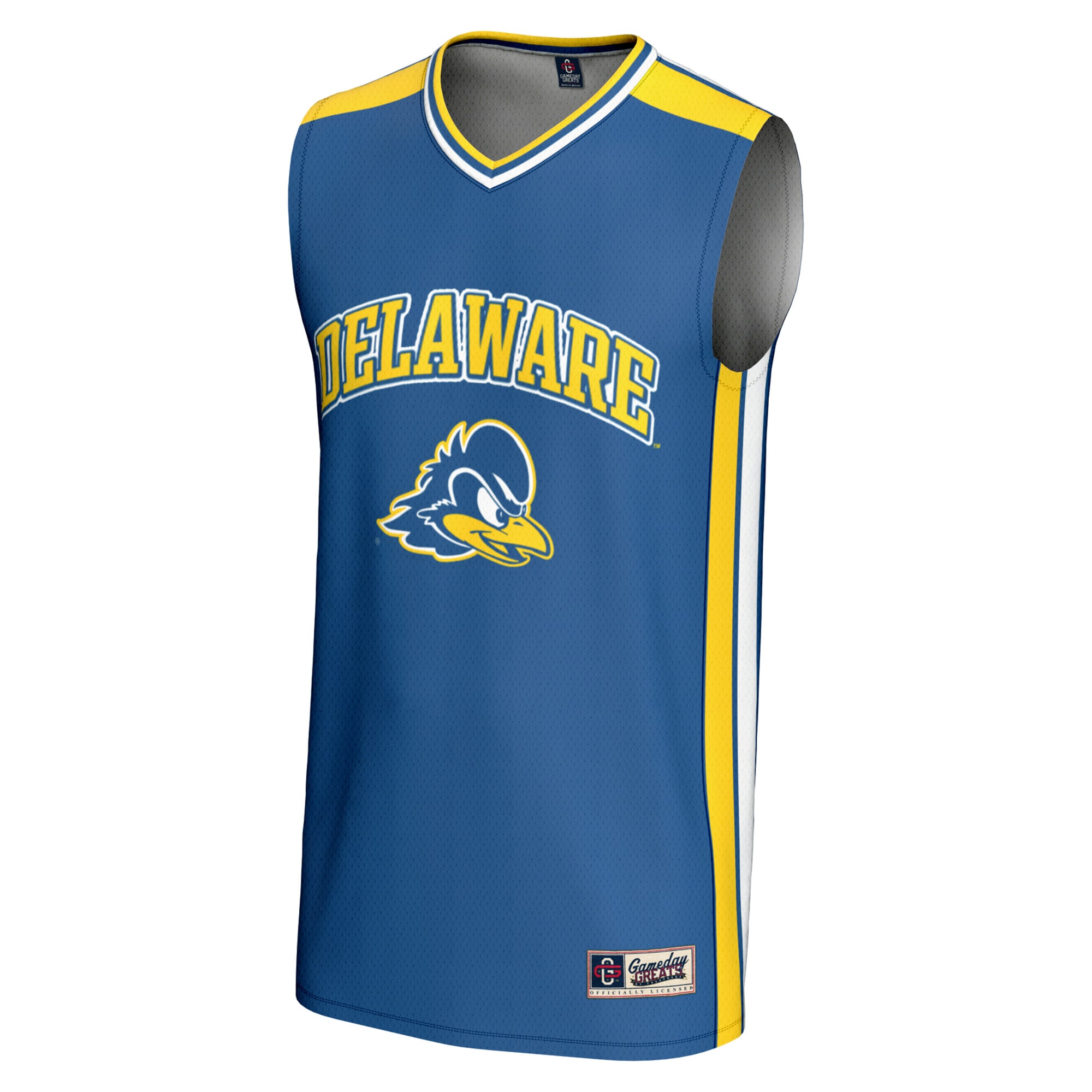 [DDG] Delaware Fightin' Blue Hens GameDay Greats Youth Spirit Basketball Jersey - Royal