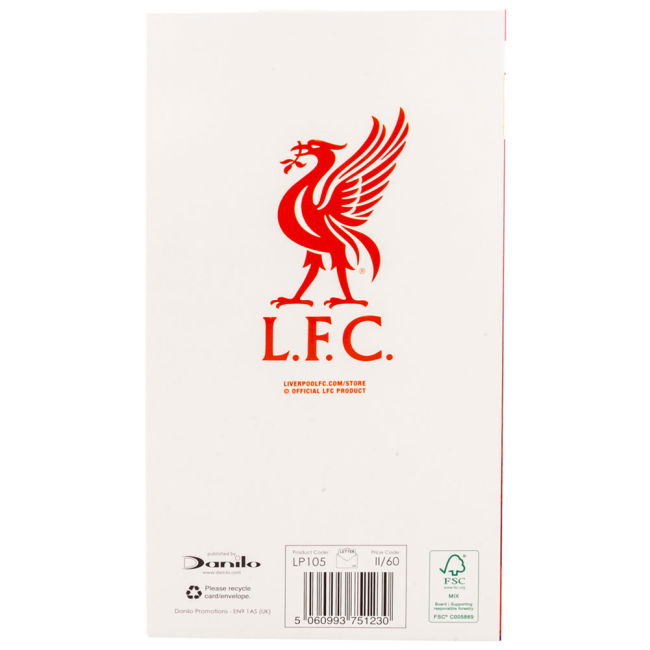 Liverpool EPL Team Contemporary Home Football Shirt (1)
