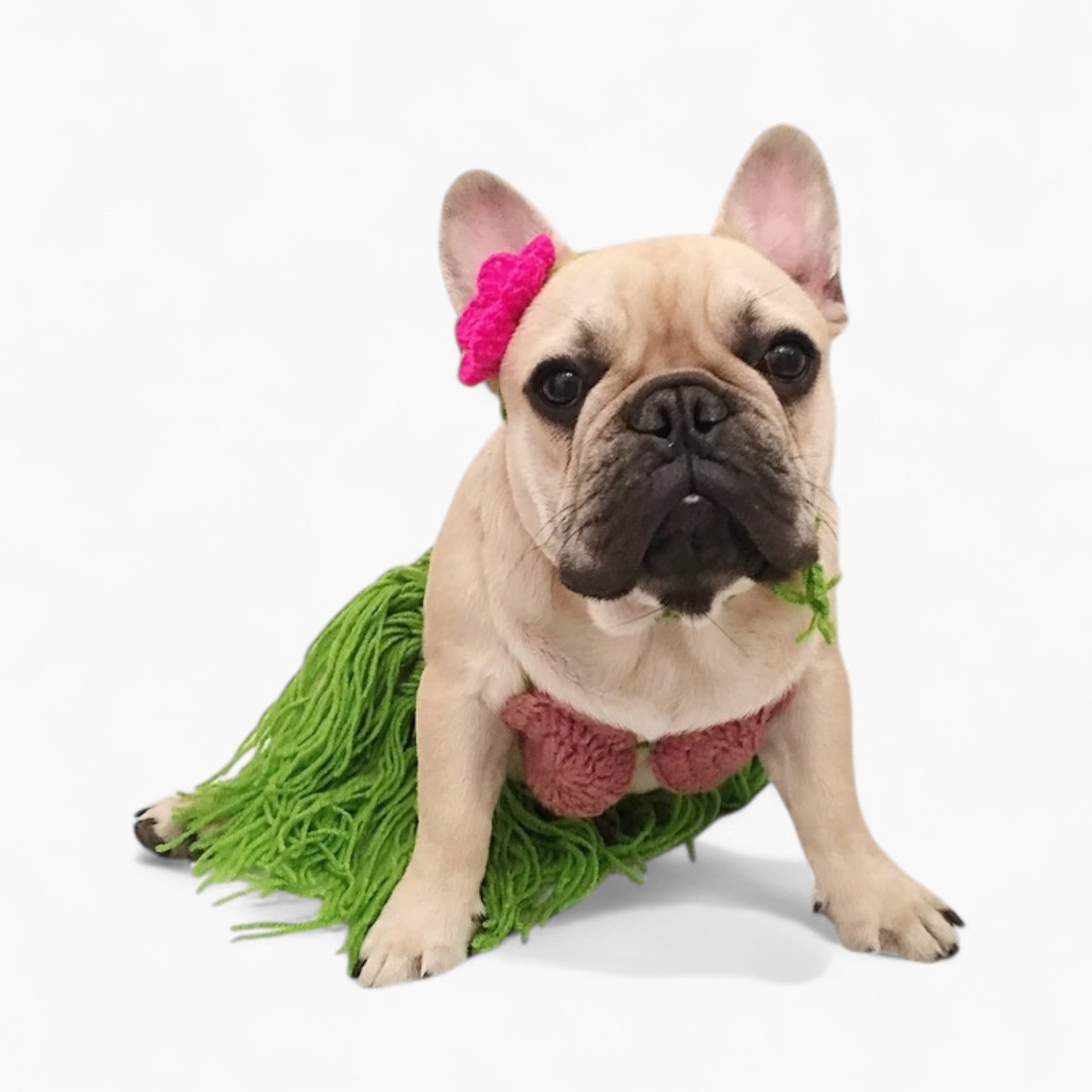 French Bulldog Leipup Frenchie Hawaiian Bikini Costume – Summer Grass