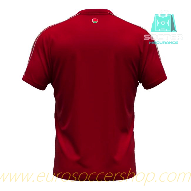 High Quality 2024-25 Edition Belarus Home Kit