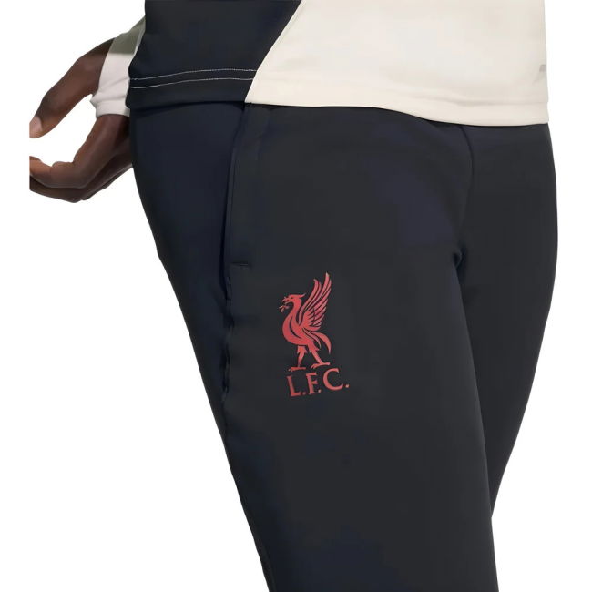 Liverpool 2025-20 Training Football Shirt with Printing L S Kids