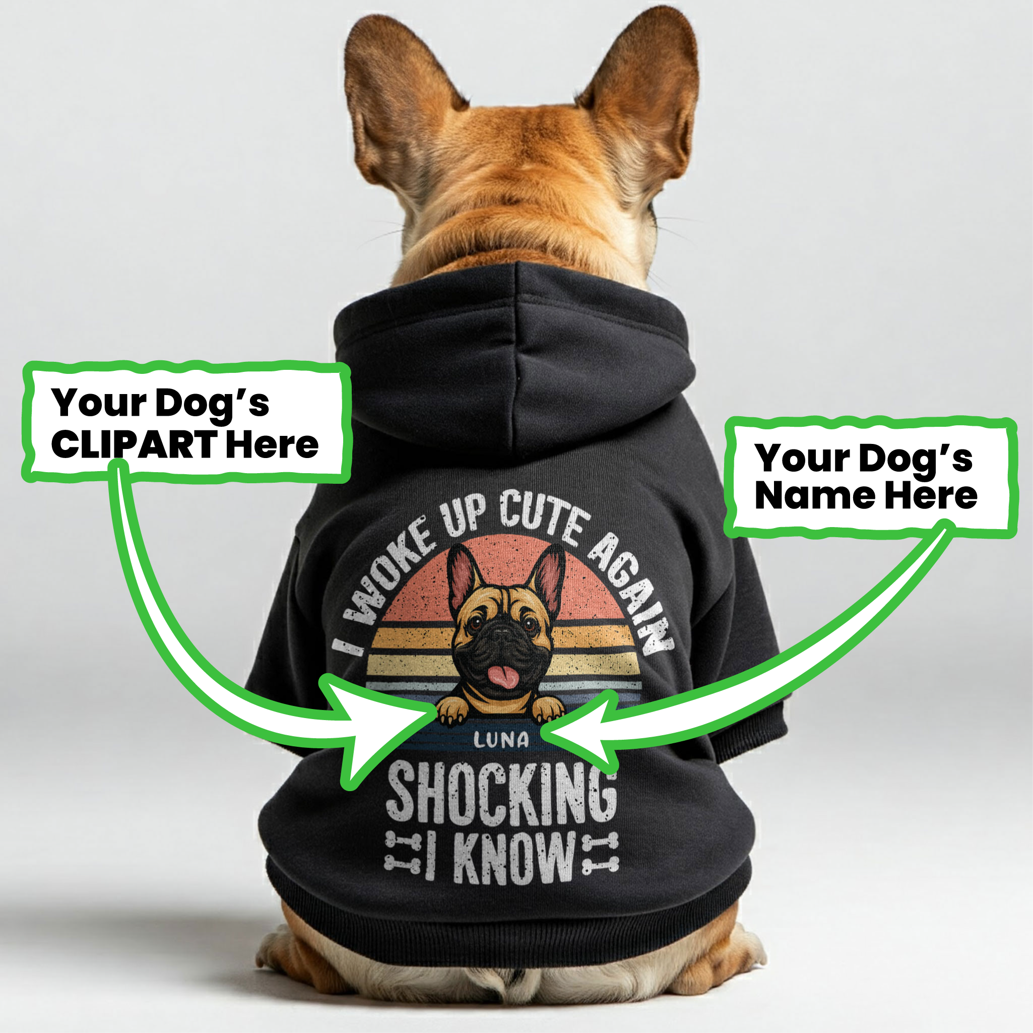 Street-Ready I Woke Up - Personalized French Bulldog Hoodies With Fun...