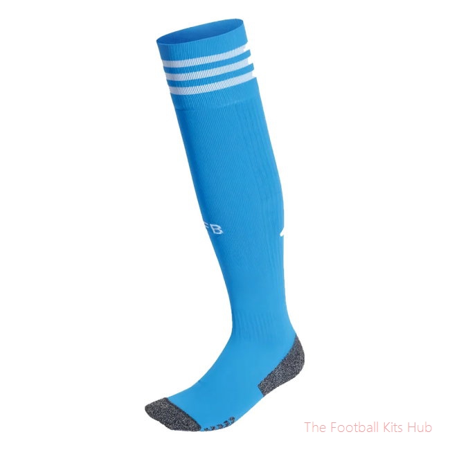 2022-2023 Germany Home Goalkeeper Socks (Blue)