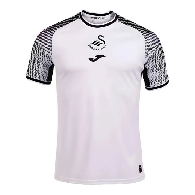 Durable 2023-2024 Swansea Home With Limited Edition Design
