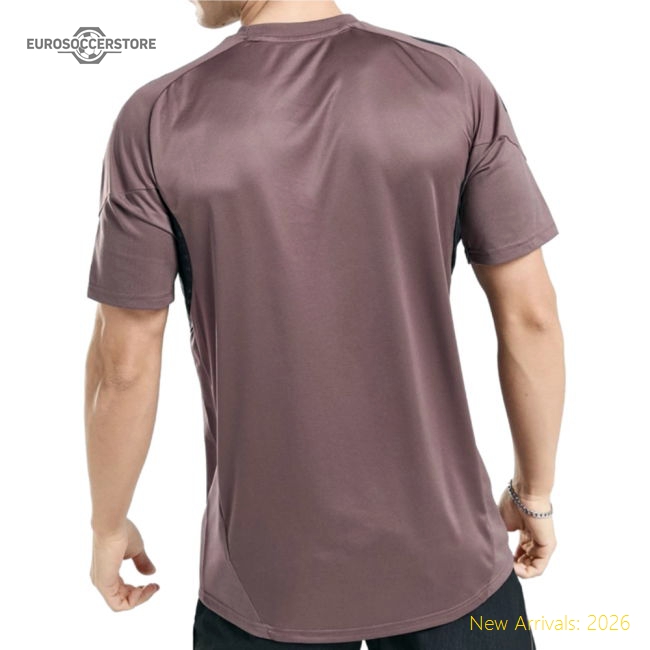 Premium 2025-2026 Real Madrid Training Jersey (shadow Fig)