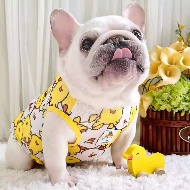 Street-Ready Tailtoon Frenchie Summer Cartoon Vest – Lightweight Brea...