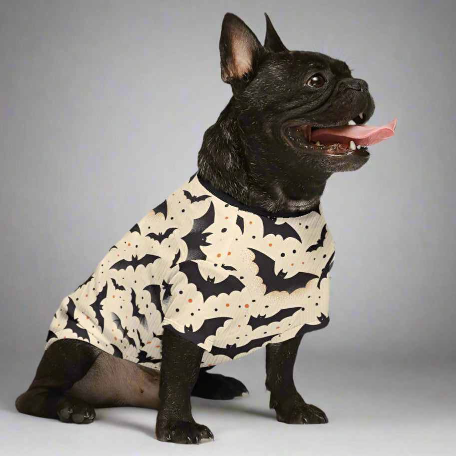 French Bulldog Frank Wool Sweater For Frenchies Cozy Pet Winter Wear