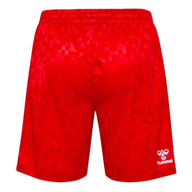 Away Shorts for Denmark 2024-2025 (Men