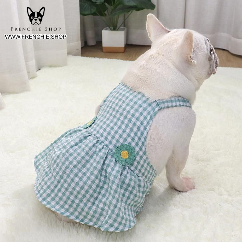 Stylish Trendy Skirt Frenchie Summer Dress (w313) for Pet Enthusiasts