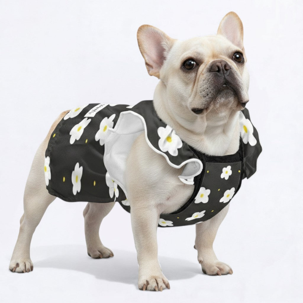 Zara - Adorable Dress for Frenchie Girls