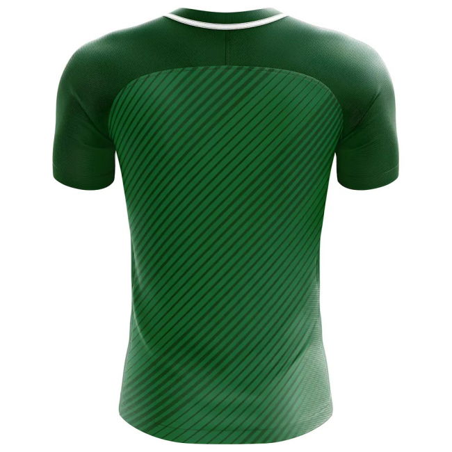 2018-2019 Werder Bremen Fans Culture Home Concept Shirt