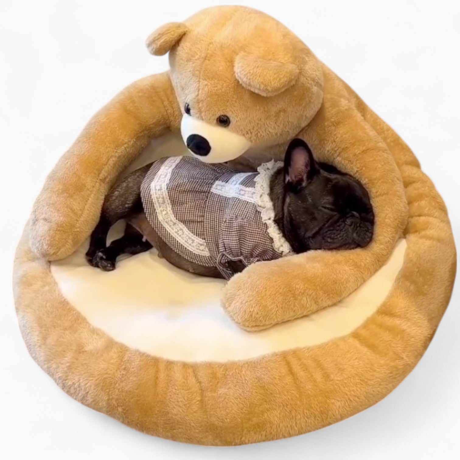 French Bulldog French Bulldog Bear Hug Bed – Plush Winter Ready Cozy