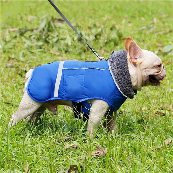 Warm - Comfortable Coat For Frenchie (cs1) Summer Wear | Comfort Fit
