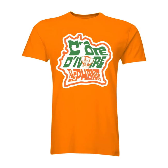 Match Quality Ivory Coast 2025-2026 Home Kit