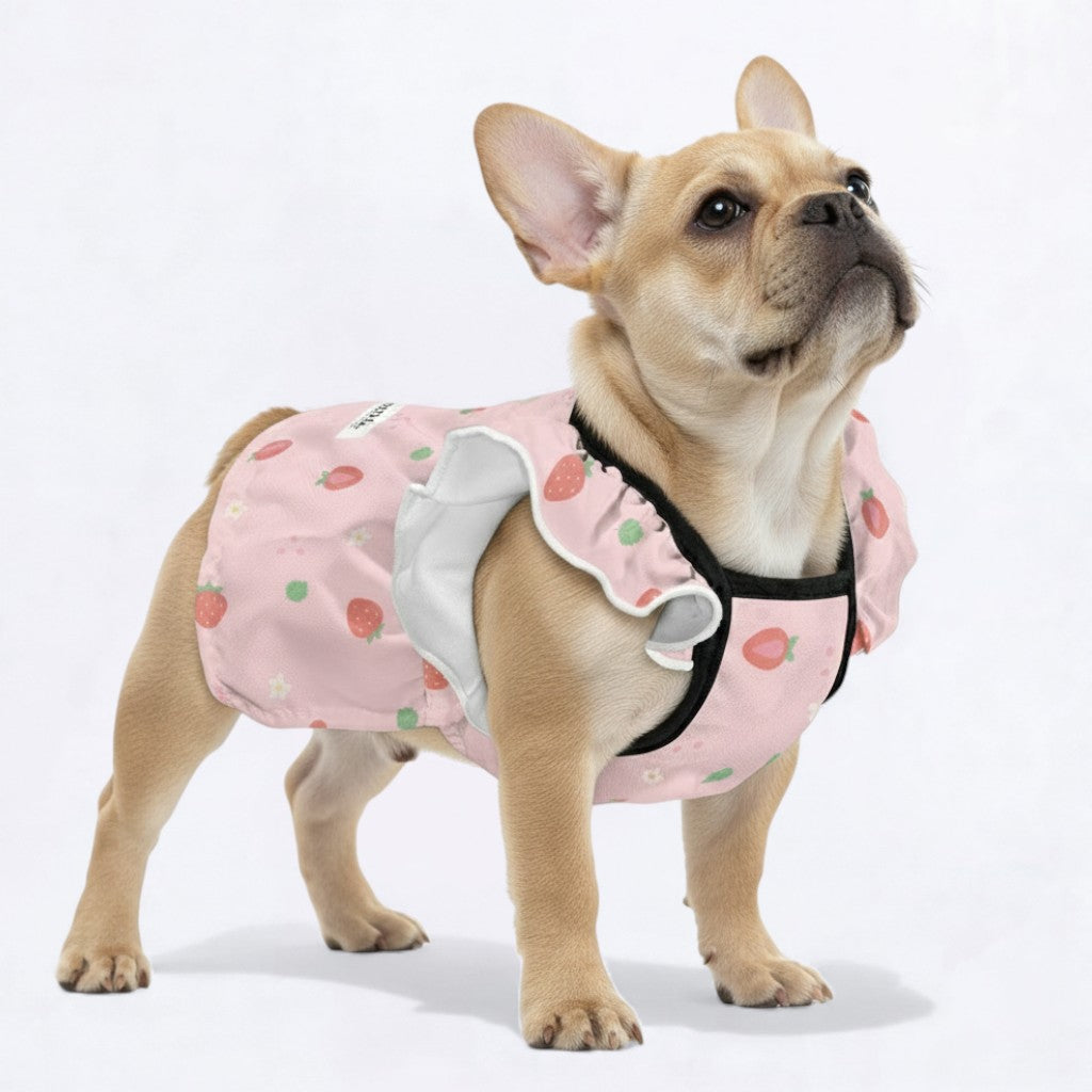 French Bulldog Mila Adorable Dress For Frenchie Girls Comfy Pet Product