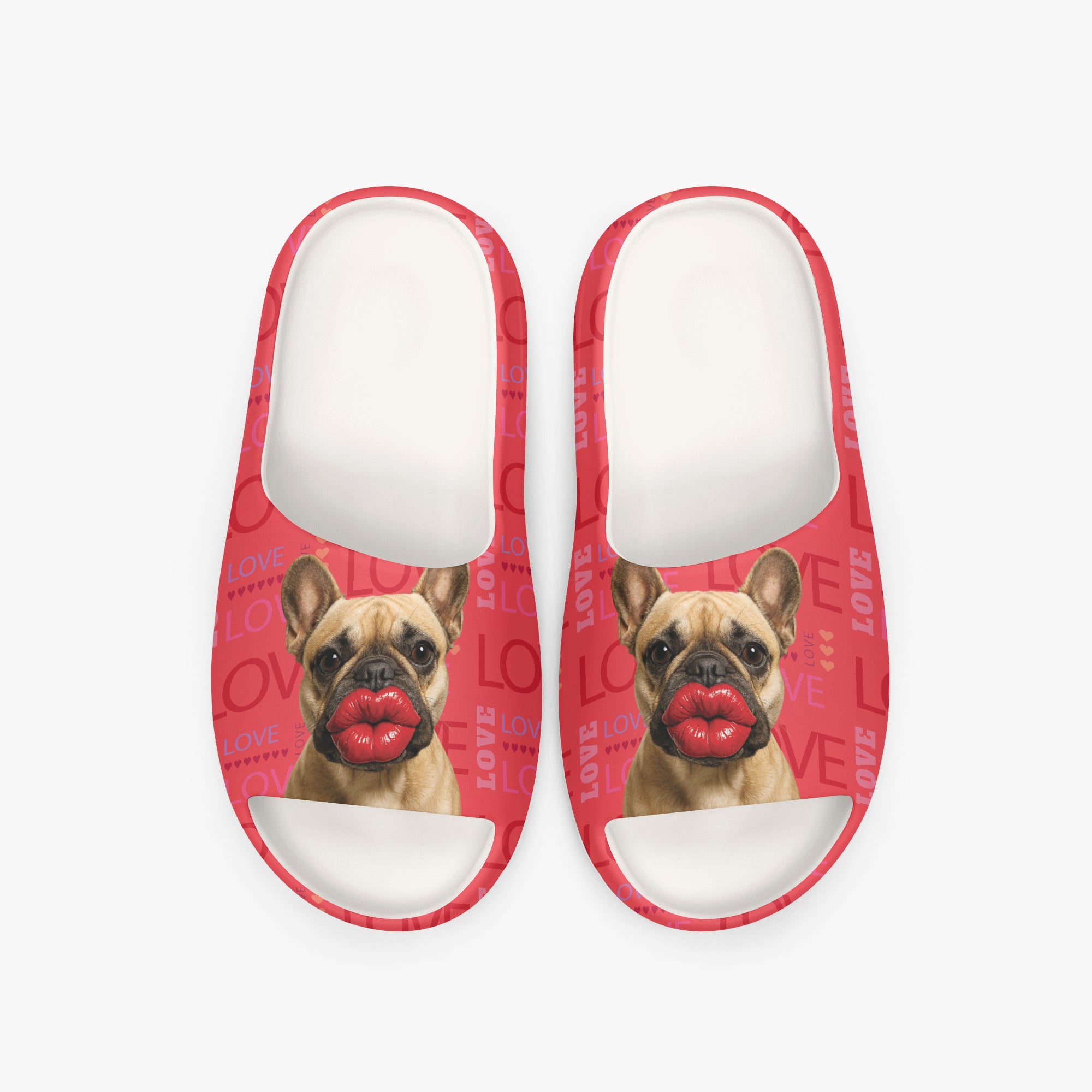 French Bulldog Pippa Slide Sandals Essential Dog Supply