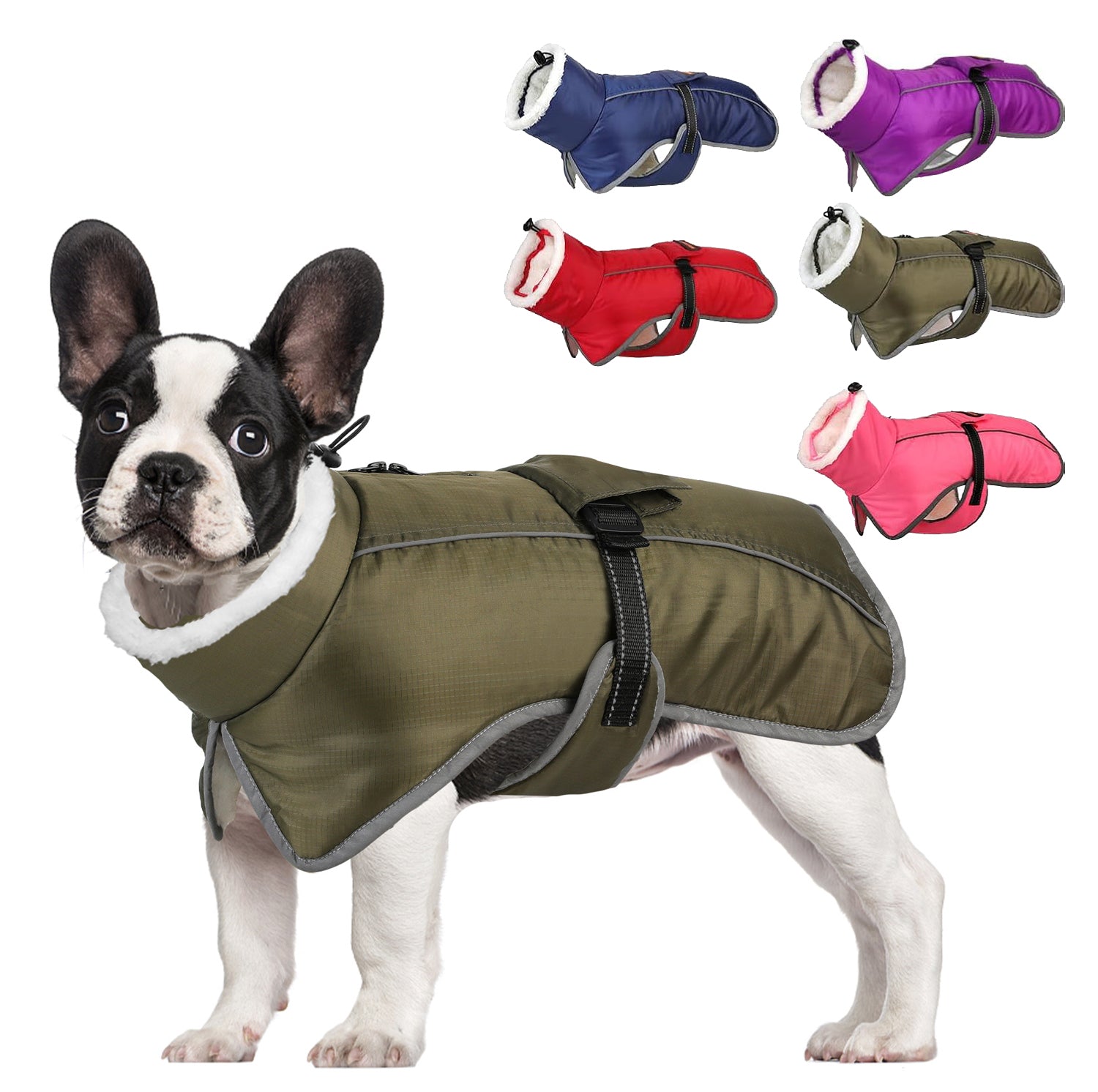 Comfortable French Bulldog Reflective Coat With Adjustable Buckle And...