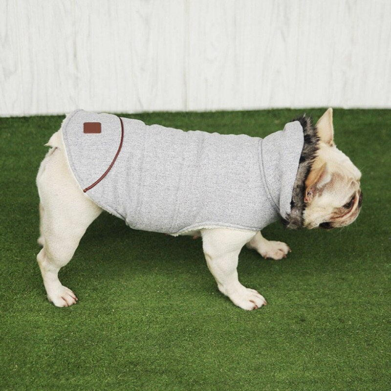 Cotton Coat For Frenchie (CS031)