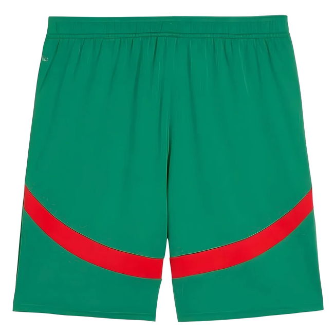 Morocco 2024-2025 Away Shorts - (Men